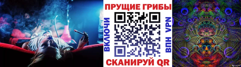 цена   KRAKEN сайт  Псилоцибиновые грибы прущие грибы  Ликино-Дулёво 
